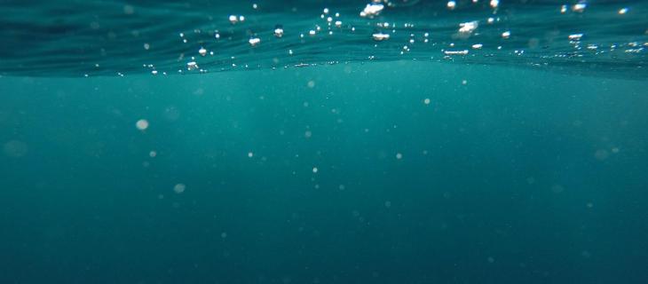 Agenti patogeni ad RNA catturano la CO2 negli oceani