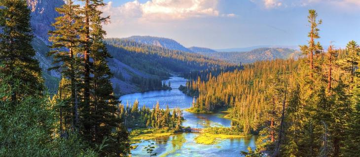 Le parole più usate nel 2022 legate a clima ed ambiente