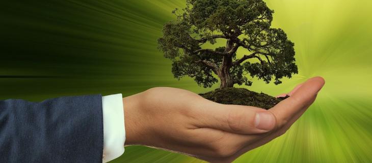 Certificazioni di sostenibilità, tra greenwashing e Direttive UE