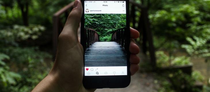 Green influencer: chi sono e perché seguirli