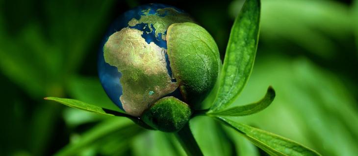 Quali saranno i trend di investimento ESG nel 2023?