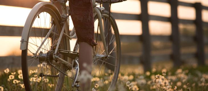 SA(L)VALA, 65 km in bici alla scoperta di cultura e sostenibilità