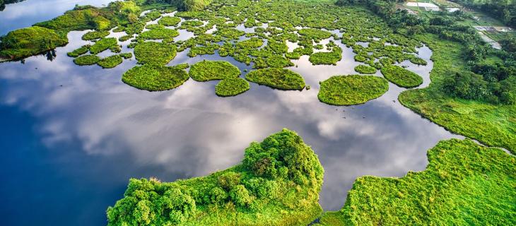 Biodiversità: Europa leader nel mondo nella ricerca 