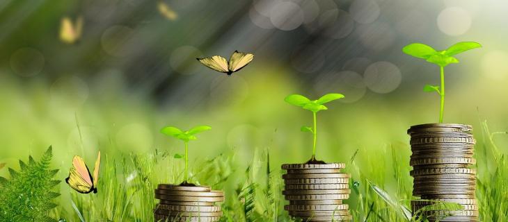La Green economy accelera in Italia con 531mila imprese