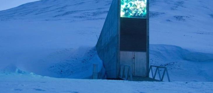 Svalbard Global Seed Vault: che cos’è la banca mondiale dei semi? 