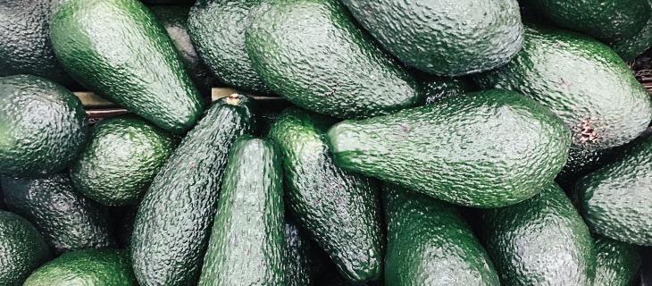 Come rendere la produzione di avocado più sostenibile