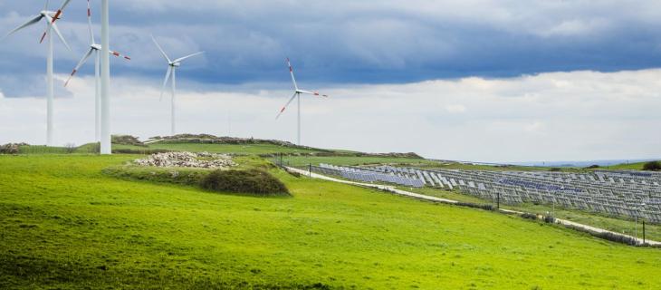 Nature Restoration Law, cos’è e perché è importante