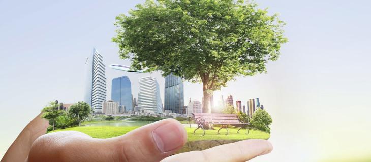 Tutto quello che c'è da sapere sui Crediti di Carbonio