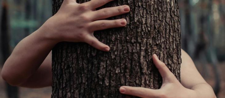 National Love a Tree Day: un abbraccio verde per il futuro del pianeta