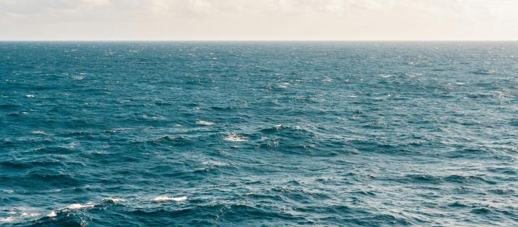 La Giornata Mondiale degli Oceani 2025 per tutelare gli ambienti marini