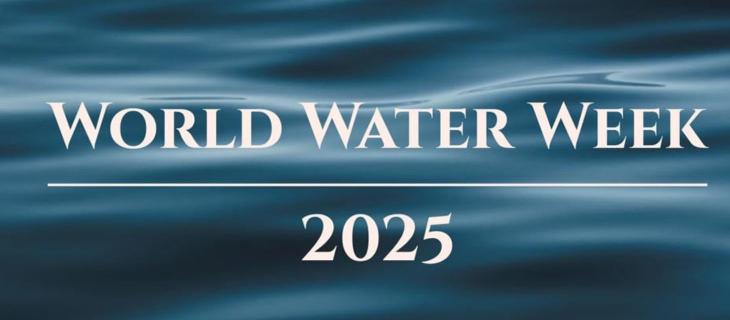 World Water Week: di cosa parla e dove si tiene l’edizione 2025