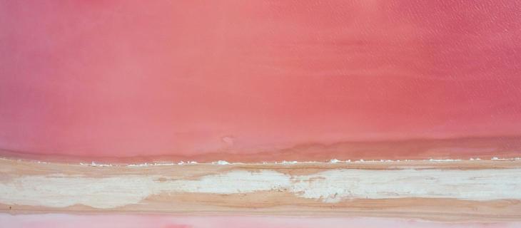 L’acqua come linguaggio: dalle materie alle esperienze nell’arte contemporanea