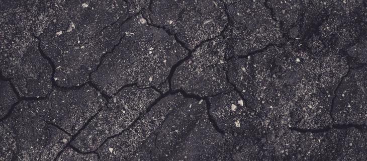 Giornata Mondiale del Suolo: perché il 5 dicembre ci ricorda ciò che non vediamo