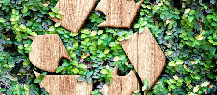 Sostenibilità in Italia: a che punto siamo? Ce lo svela il Rapporto ASviS