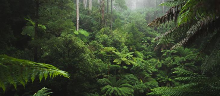 Zone umide: i luoghi d’acqua che lavorano in silenzio