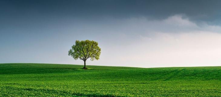 L’importanza della logistica verso la transizione ecologica