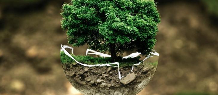 Cos’è la transizione ecologica e perché è importante