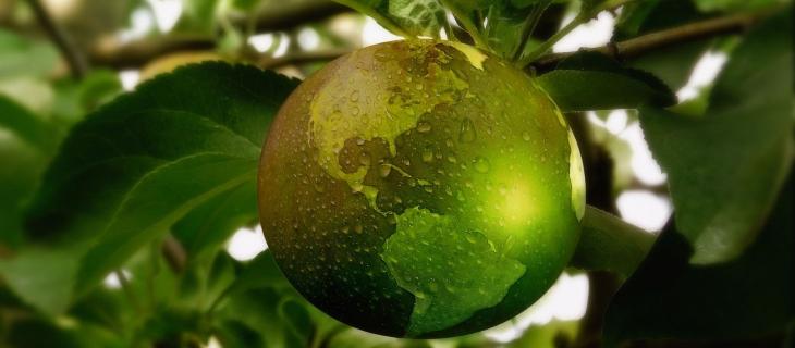 Le parole più usate nel 2021 legate ad ambiente e sostenibilità