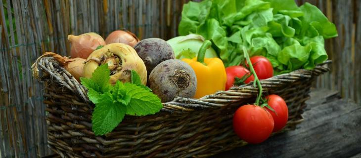 Il food packaging: la nuova frontiera della sostenibilità