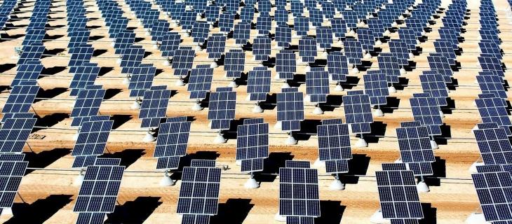 I principali trend legati alla sostenibilità nel 2022