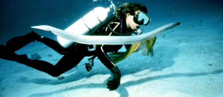 Sylvia Earle e la tutela della biodiversità marina