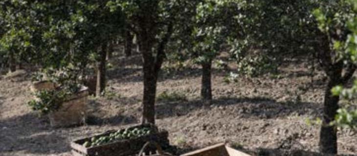 Francesco Misitano e l’importanza di preservare il territorio