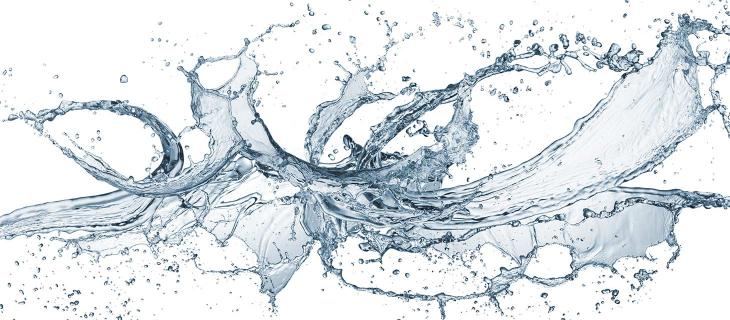 L’acqua la insegna la sete: la poesia di Emily Dickinson  - In a Bottle