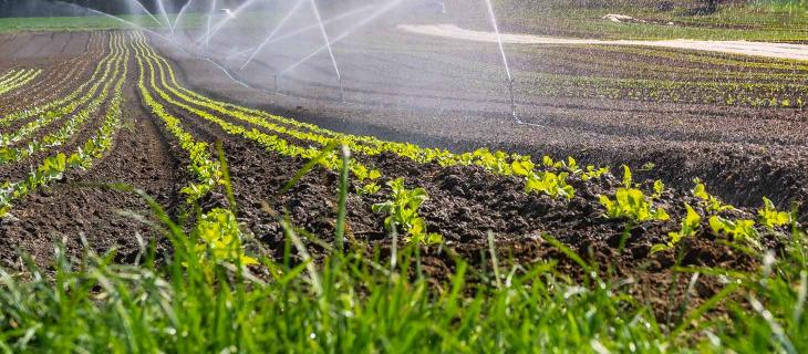 H2Agro, limita lo spreco d’acqua nelle coltivazioni H2Agro, limita lo spreco d’acqua nelle coltivazioni