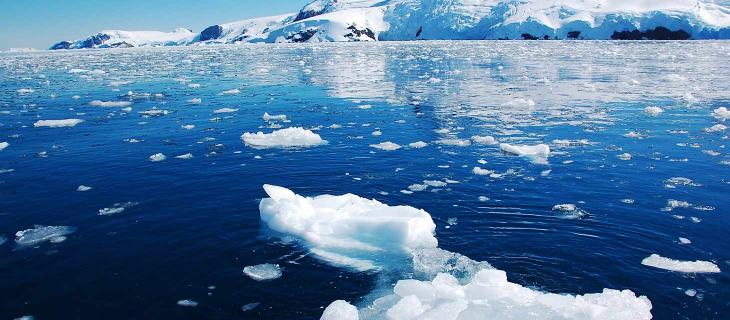 Il riscaldamento globale raggiunge l’Antartico – In a Bottle Il riscaldamento globale raggiunge l’Antartico – In a Bottle