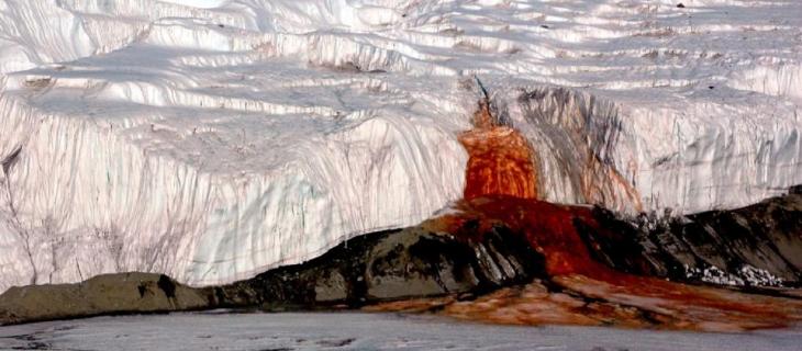 Antartide: svelato il mistero del ghiacciaio Taylor 