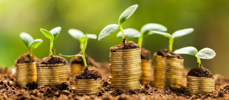 Aumenta il consumo di suolo in Europa Aumenta il consumo di suolo in Europa