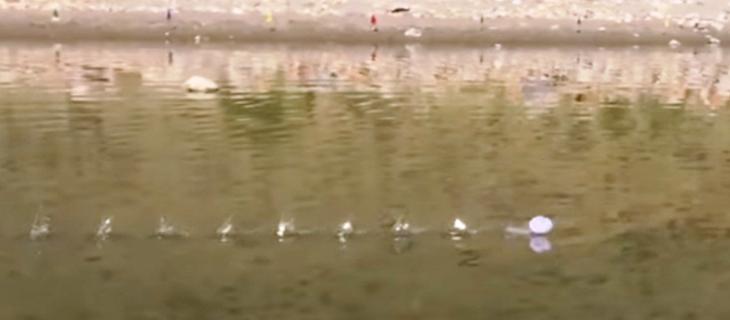 Camminare sull’acqua? Secondo la scienza si può - In a Bottle