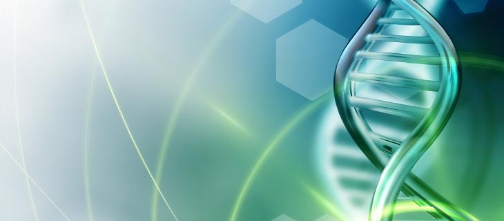 Come si comporta l'acqua intorno al DNA 