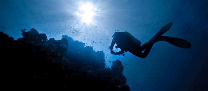 Creato un “polmone artificiale” per respirare a lungo sott’acqua - In a Bottle