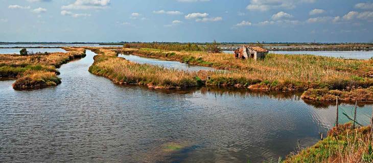 Delta del Po, nuovo tipo di vigilanza ambientale con l’utilizzo di droni - In a Bottle Delta del Po, nuovo tipo di vigilanza ambientale con l’utilizzo di droni - In a Bottle