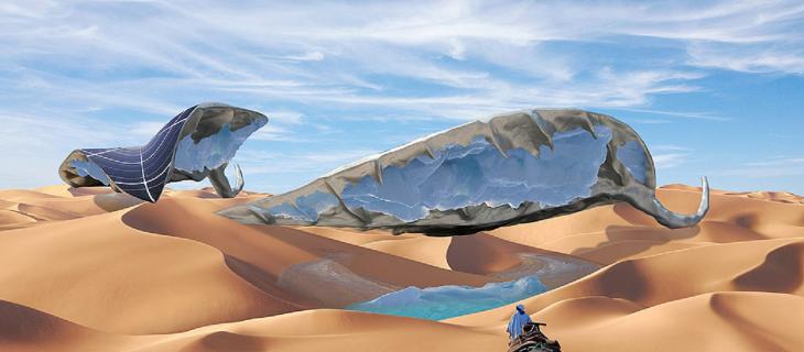 Energia solare per raccogliere acqua nel deserto 