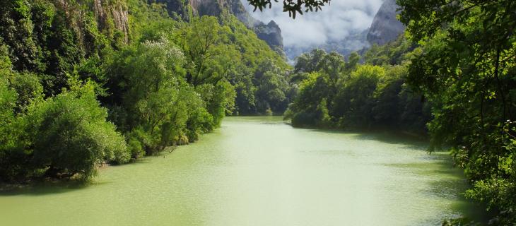 In Brasile l’umidità dell’aria amazzonica viene trasformata in bottiglie d’acqua - In a Bottle