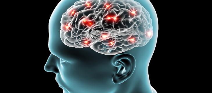 Scoperta una proteina nel cervello che attiva lo stimolo della sete