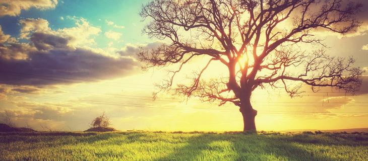 Il cambiamento del clima ed il ruolo delle nuvole alt_tag