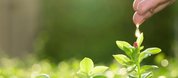 Gestione idrica migliore per aumentare la produzione agricola Gestione idrica migliore per aumentare la produzione agricola
