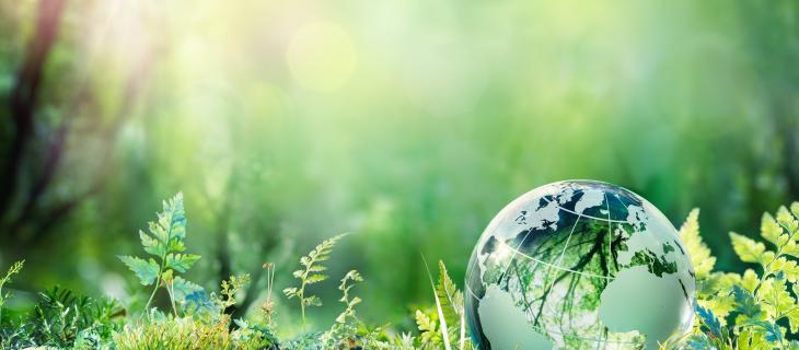 Giornata mondiale dell'Ambiente, l’impegno per abbattere l’inquinamento atmosferico Giornata mondiale dell'Ambiente, l’impegno per abbattere l’inquinamento atmosferico