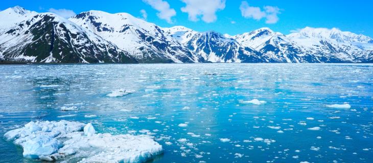 Cambiamenti Climatici e Scioglimento dei Ghiacciai – In a Bottle