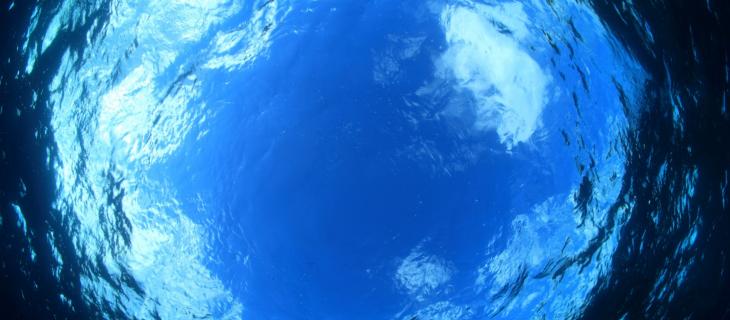 Sarà possibile abitare i pianeti ricoperti d’acqua? - In a Bottle 