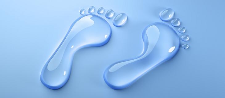 Impronta idrica: negli alimenti di origine animale è  maggiore rispetto a di quelli di origine vegetale