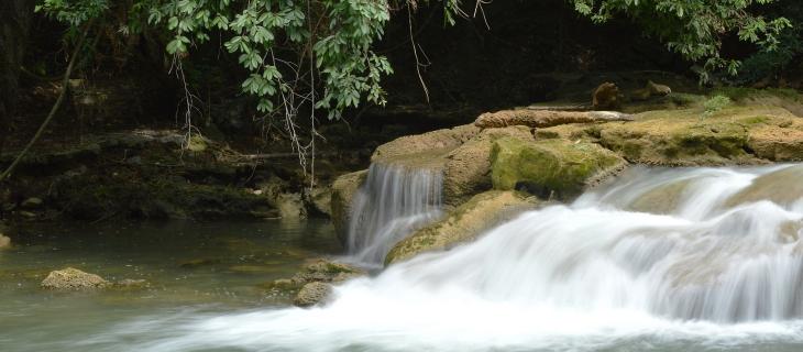 Infrastrutture green, investimenti per proteggere l’acqua Secondo uno studio dell’Università del Delaware, per proteggere l’acqua molti americani spenderebbero volentieri i loro soldi per infrastrutture green