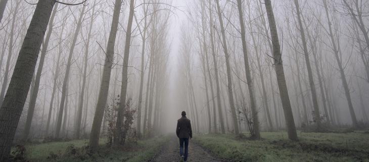 L’acqua pura che nasce dalla nebbia