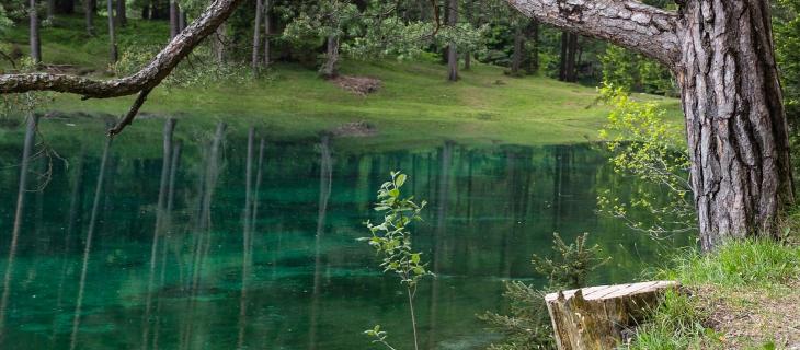 Il Lago verde, storia del bosco sommerso visitabile sott'acqua