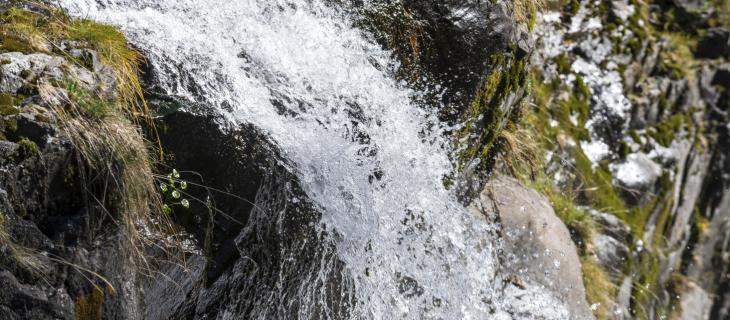 The importance of respecting natural balances when drawing water - In a Bottle