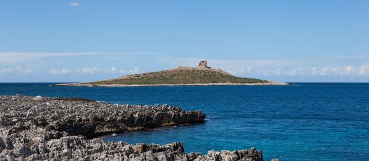 L’Isola delle Femmine è in vendita? Ecco l’idea di quattro artiste, che la vogliono acquistare - In a Bottle