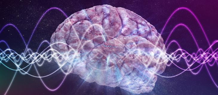 Lotta all'obesità con le cellule del cervello che indicano la fame Lotta all'obesità con le cellule del cervello che indicano la fame